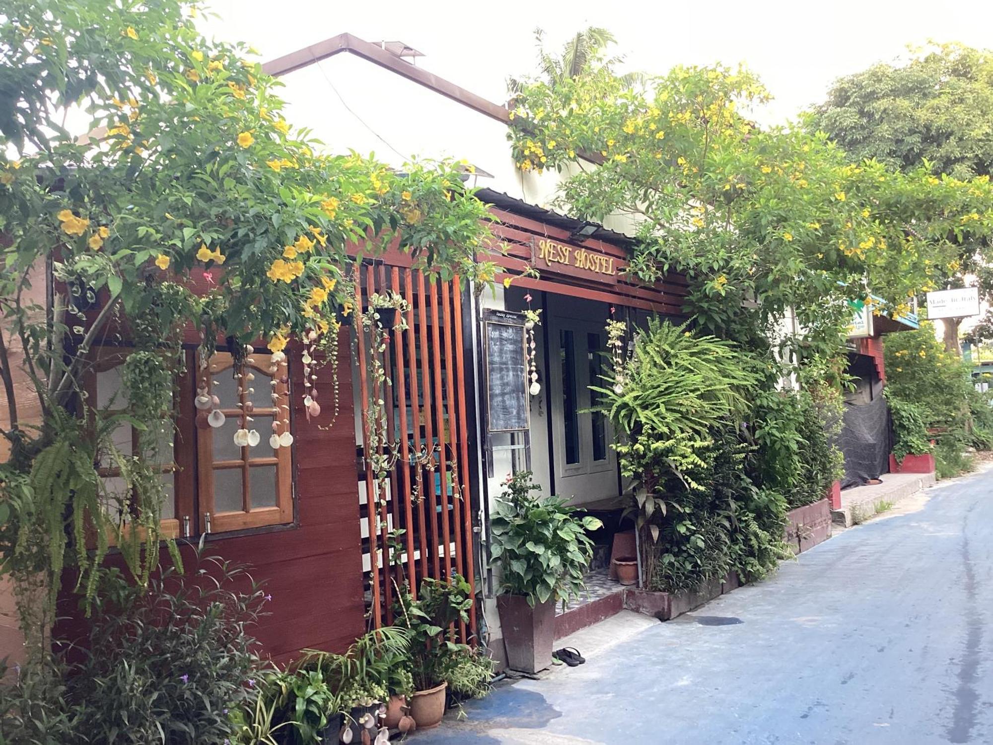 Nest Hostel Lipe Exterior photo