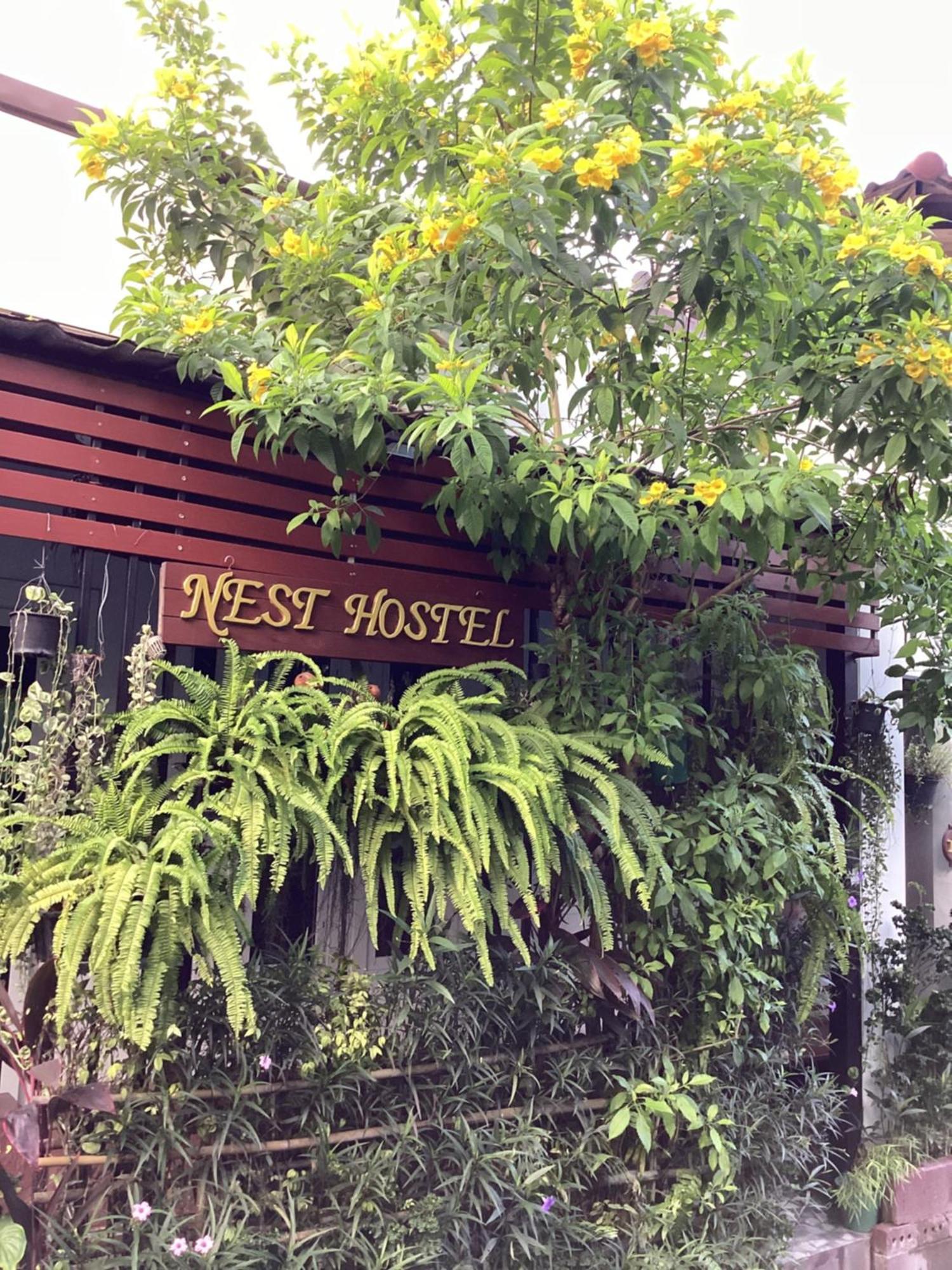 Nest Hostel Lipe Exterior photo