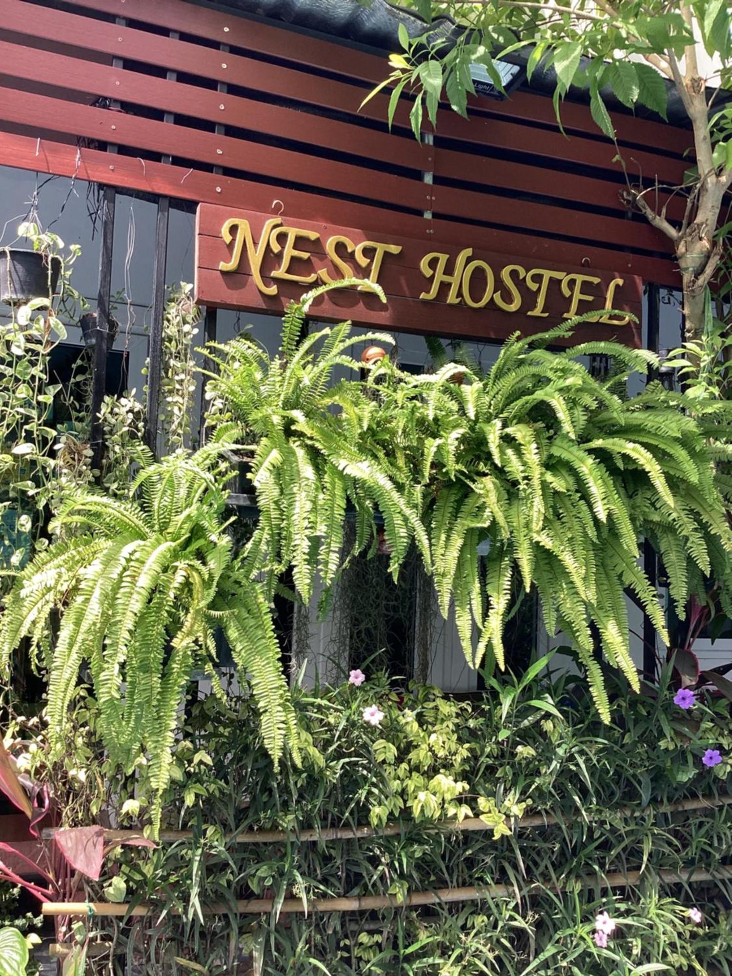 Nest Hostel Lipe Exterior photo