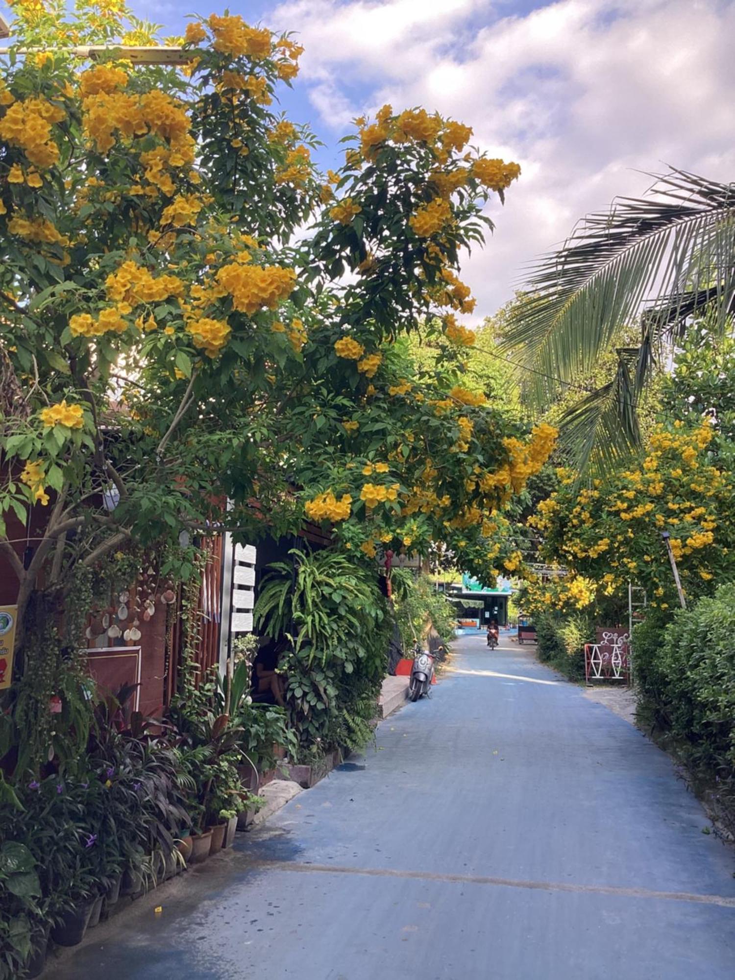 Nest Hostel Lipe Exterior photo
